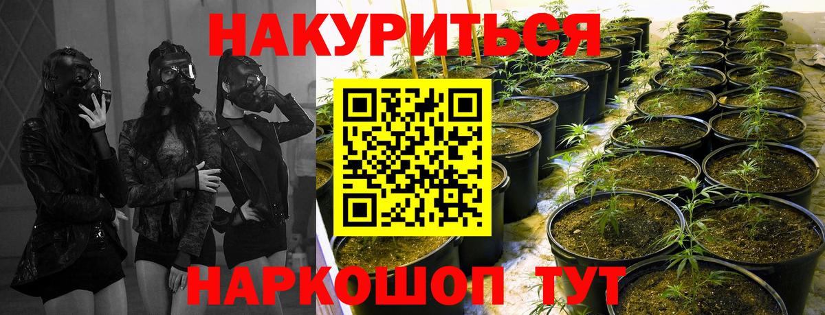 Шишки марихуана тримм  Каннабис OG Kush  Вход с VPN  Мценск  Каннабис сатива 